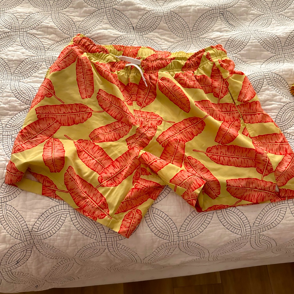 BEARBOTTOM SWIM SUIT - excellent condition. 5.5 “ inseam, size L